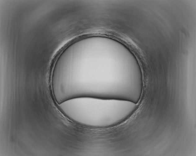 X0000112741216200908201027