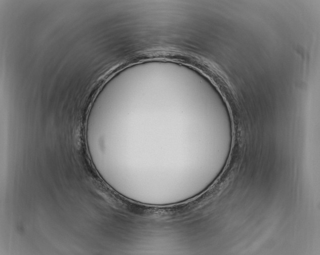 X0000112741217200908201027