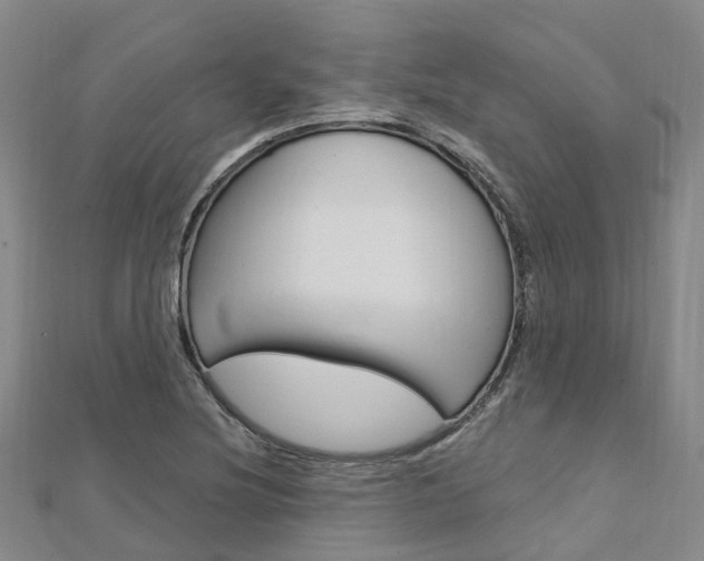 X0000112741220200908201027