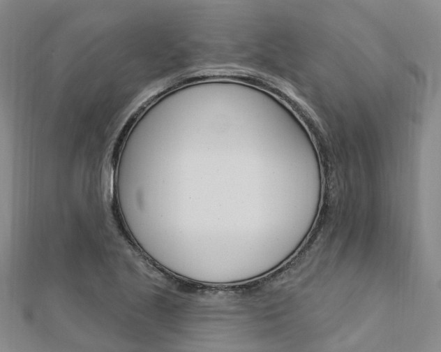 X0000112741221200908201027