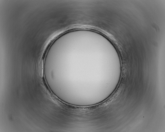 X0000112741223200908201028