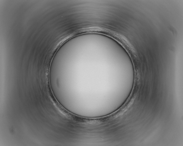 X0000112741225200908201028