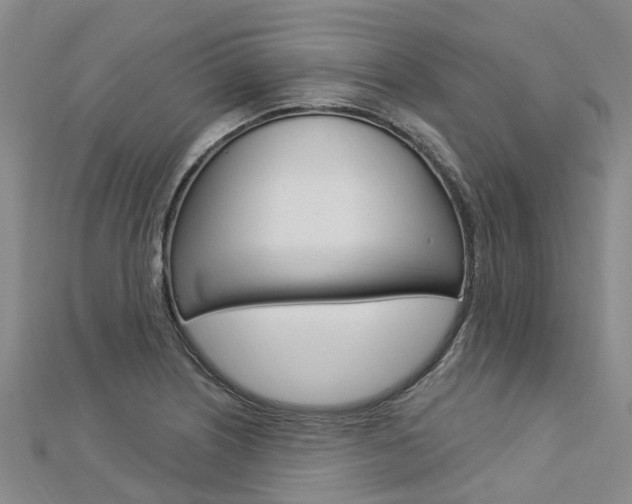 X0000112741226200908201028