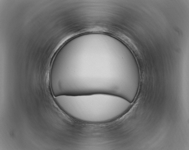 X0000112741228200908201028