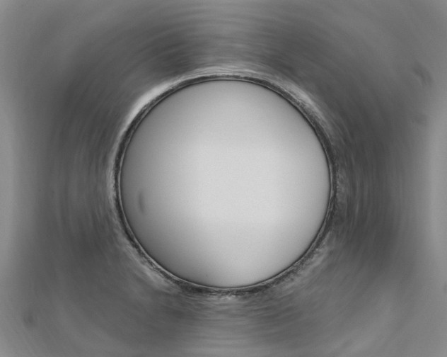 X0000112741230200908201028