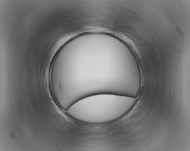 X0000112741231200908201028