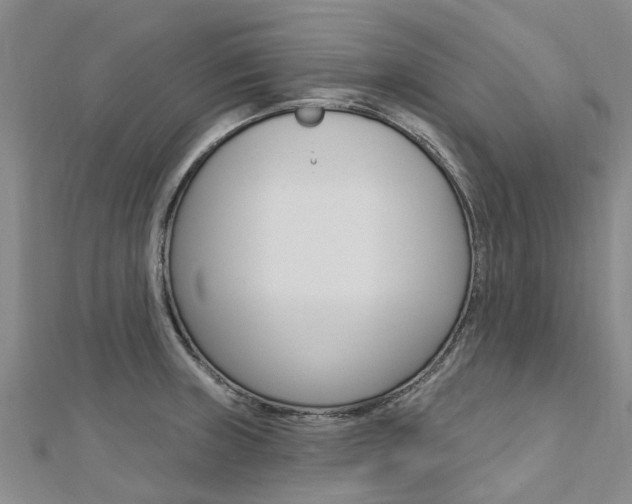 X0000112741235200908201028