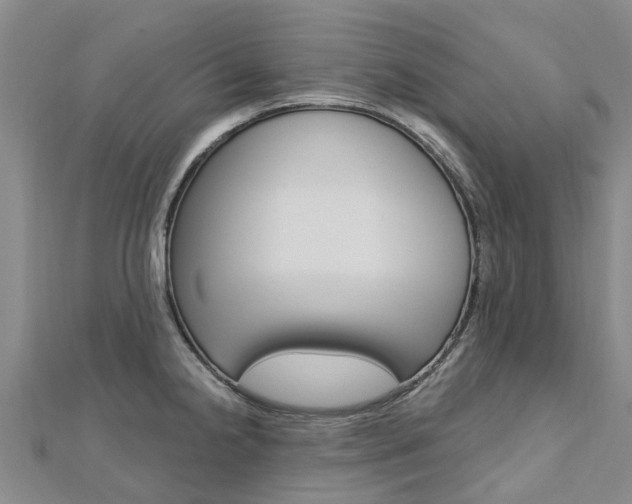 X0000112741238200908201028