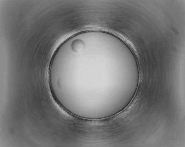 X0000112741239200908201028