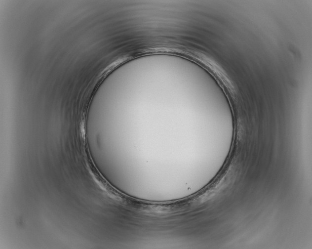 X0000112741241200908201028
