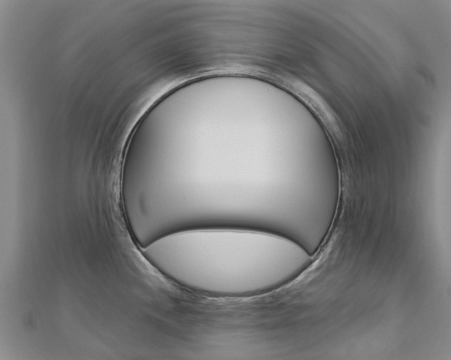 X0000112741244200908201028