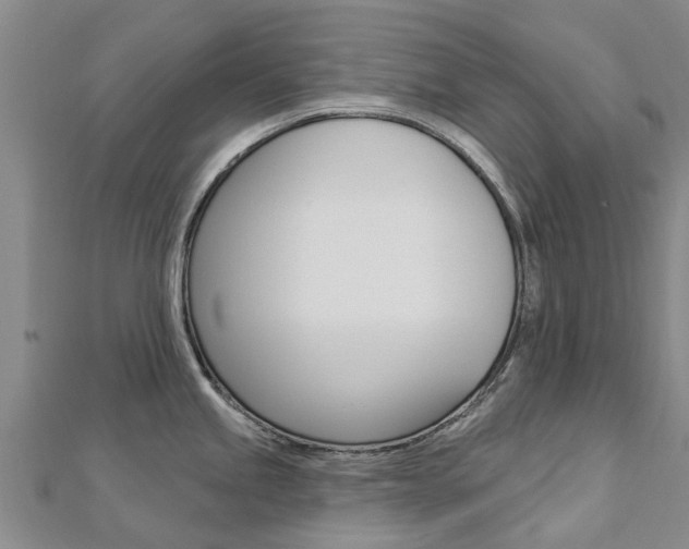 X0000112741245200908201028