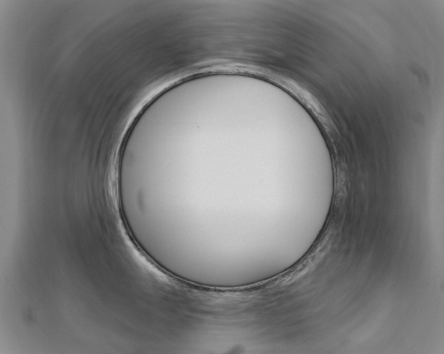 X0000112741247200908201028