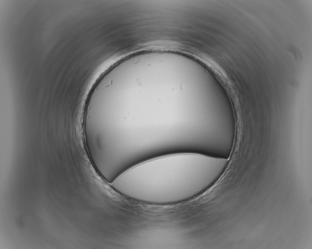 X0000112741248200908201028