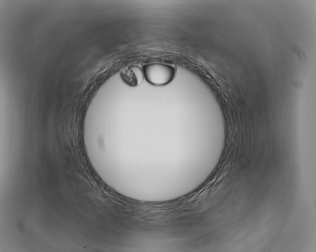 X0000112741253200908201027