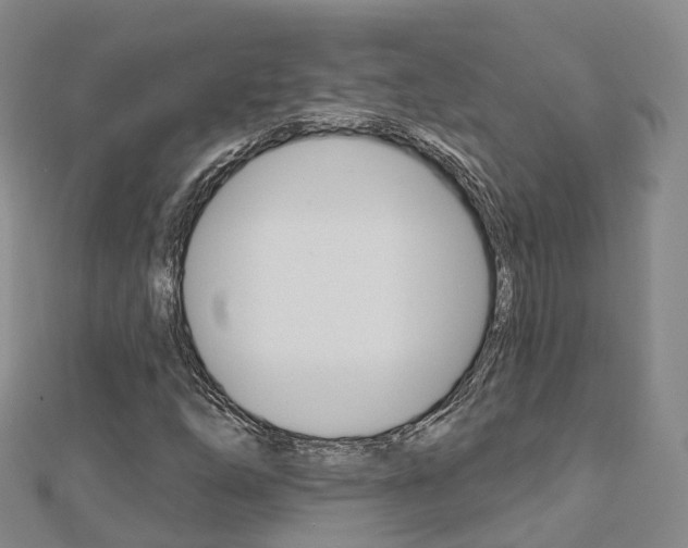 X0000112741254200908201027