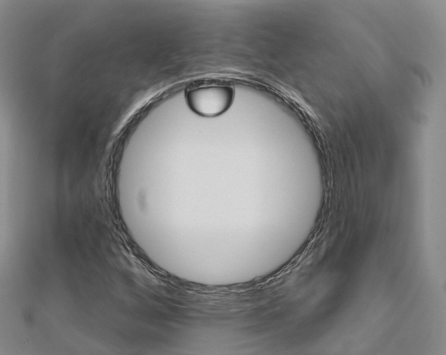 X0000112741256200908201027