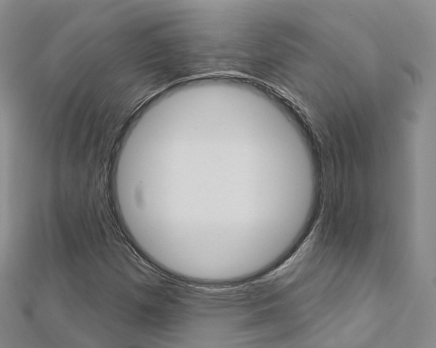 X0000112741257200908201027