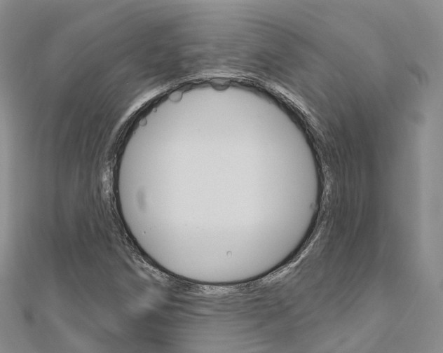 X0000112741258200908201027