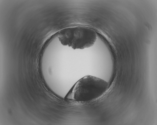 X0000112741259200908201027