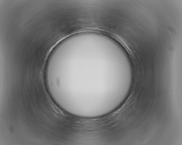 X0000112741260200908201027