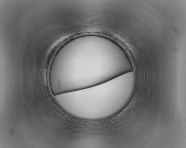 X0000112741262200908201027