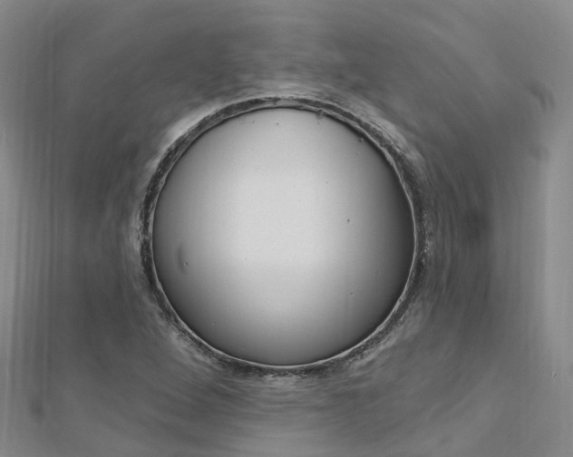 X0000112741264200908201027