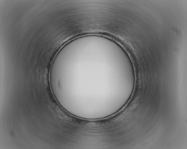 X0000112741265200908201027