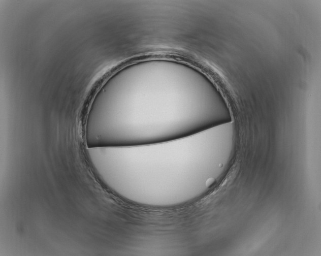 X0000112741267200908201027