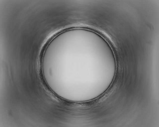X0000112741270200908201027