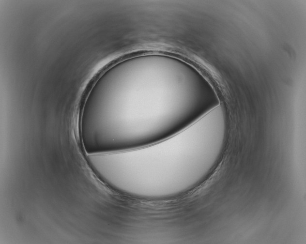 X0000112741272200908201027