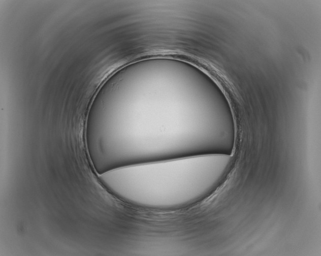 X0000112741273200908201027
