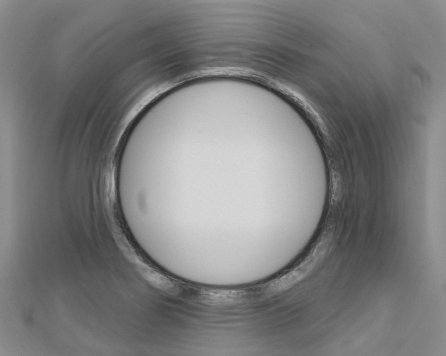 X0000112741274200908201027