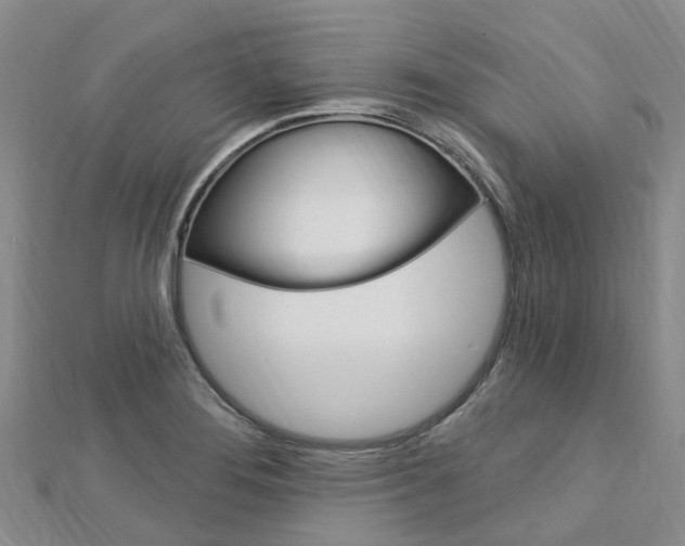 X0000112741276200908201027