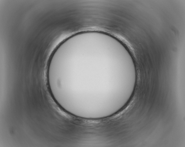 X0000112741278200908201027