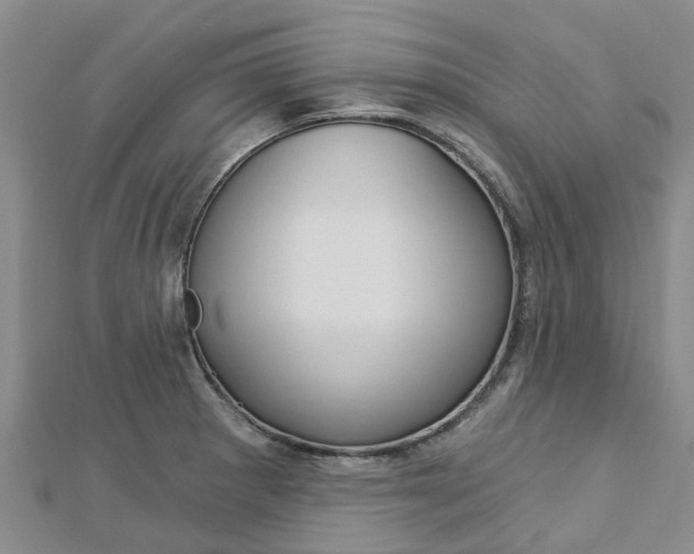 X0000112741281200908201027