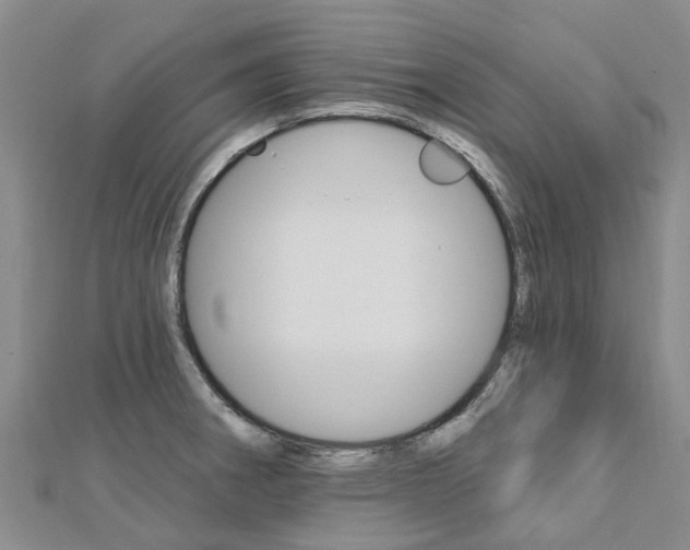 X0000112741282200908201027