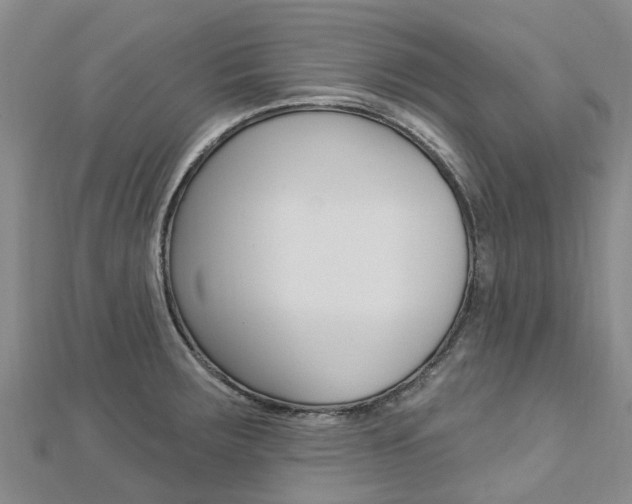 X0000112741283200908201027