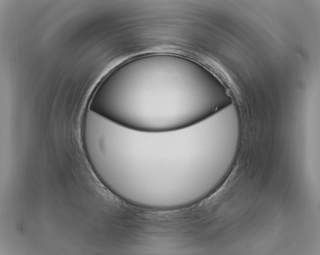 X0000112741284200908201027