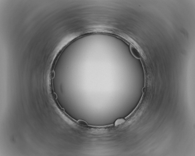 X0000112741285200908201027