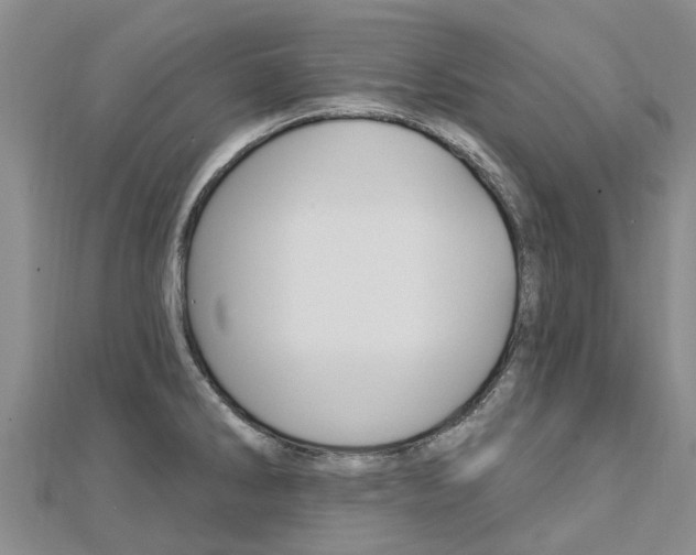 X0000112741286200908201027