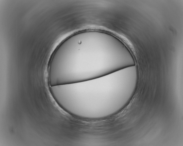 X0000112741287200908201027