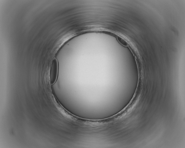 X0000112741289200908201027