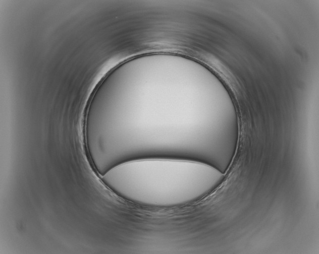 X0000112741291200908201027