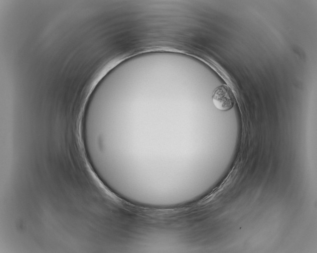 X0000112741293200908201027
