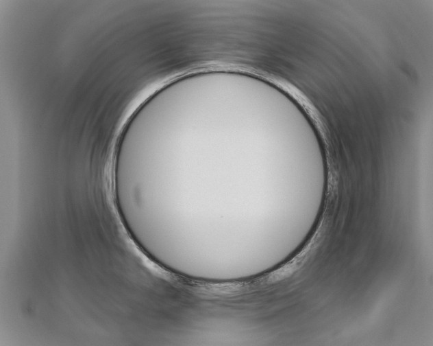 X0000112741294200908201027