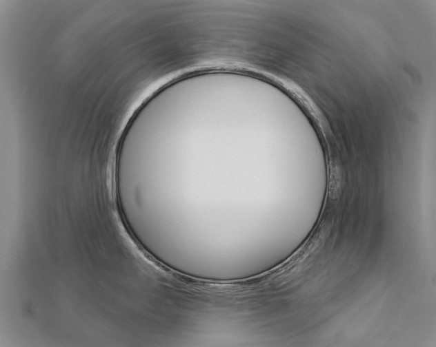 X0000112741295200908201027