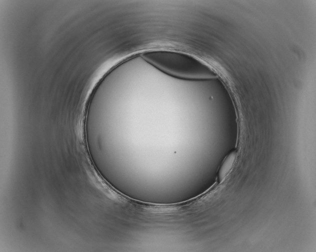 X0000112741296200908201027