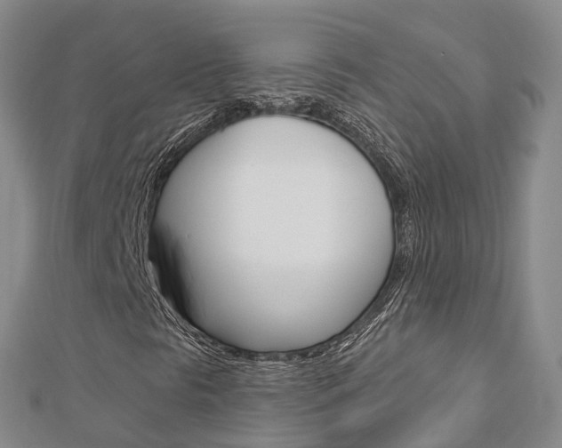 X0000112741297200908201026
