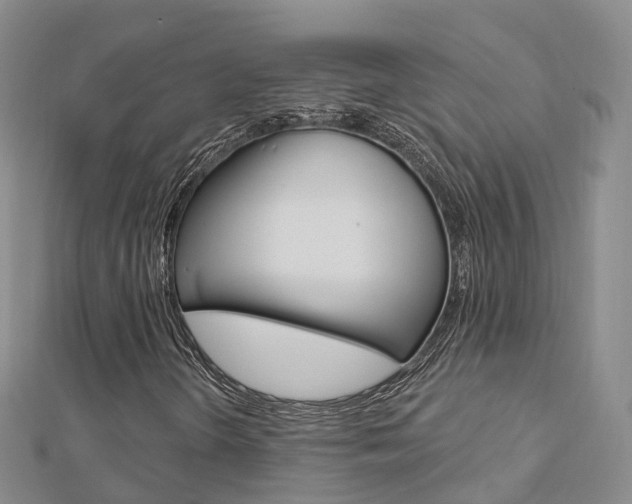 X0000112741298200908201026